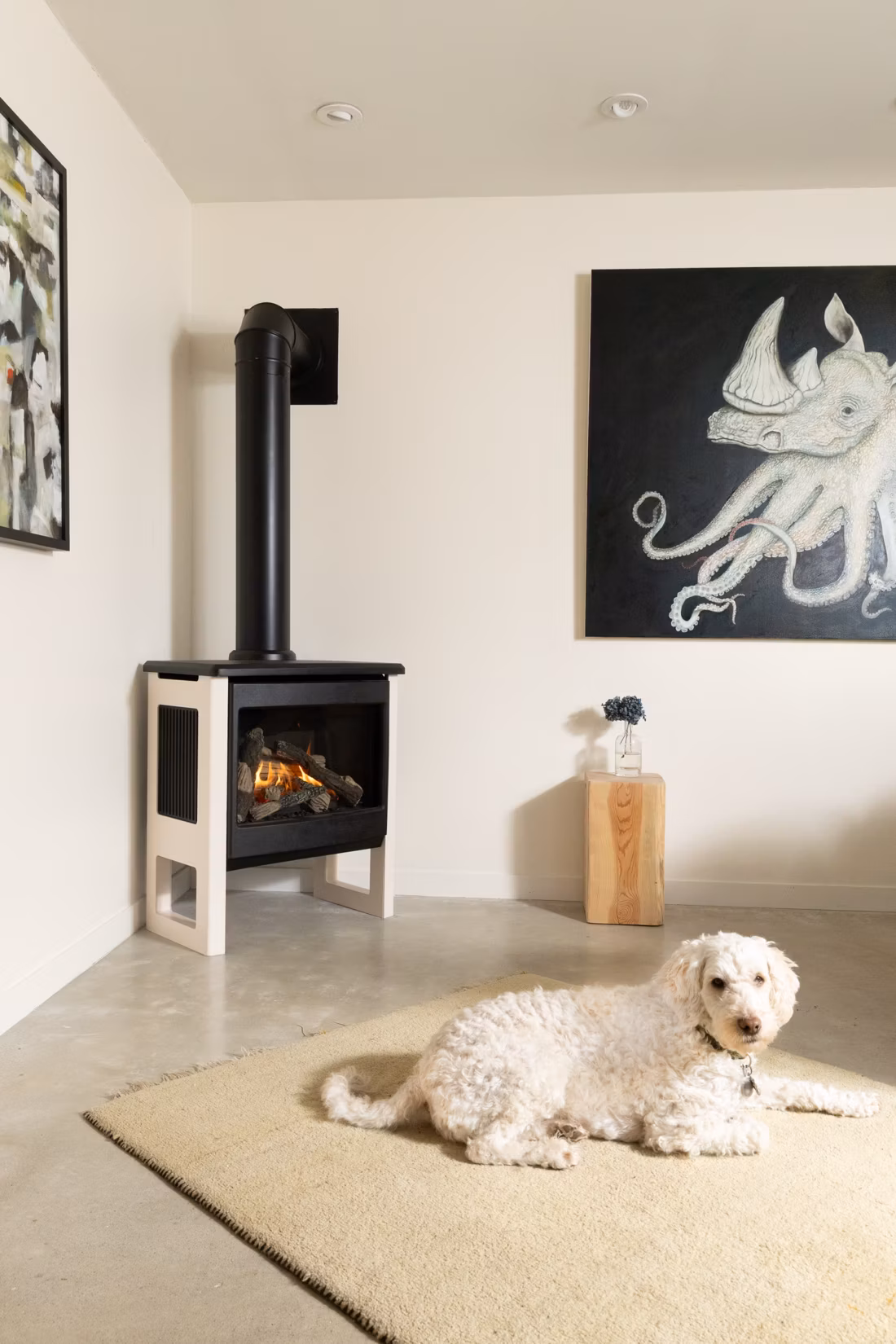 doodle dog lying on rug near corner stove