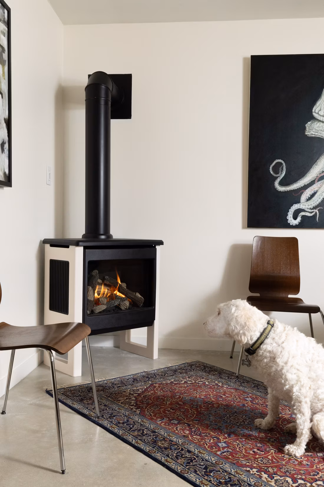 white doodle dog sitting by black freestanding stove