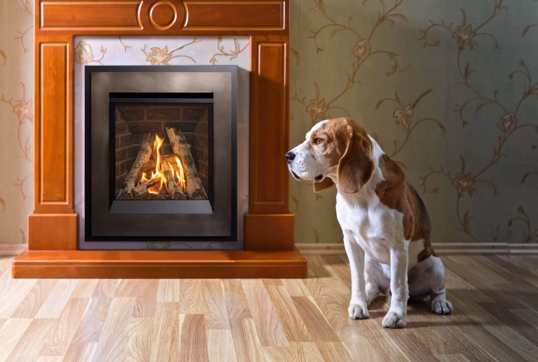 beagle sitting beside traditional wood-mantel fireplace insert