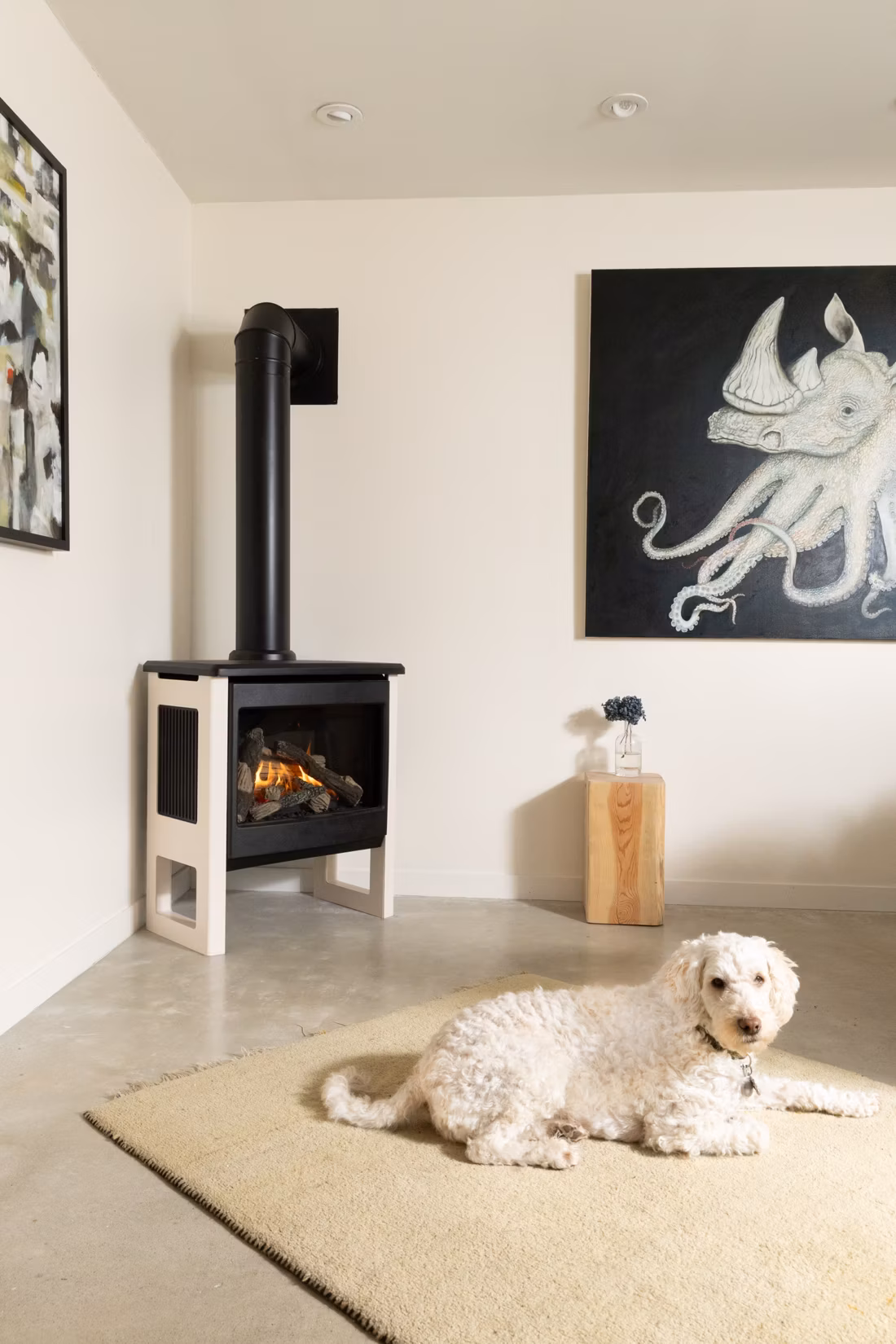 doodle dog on rug near corner stove, duplicate edit