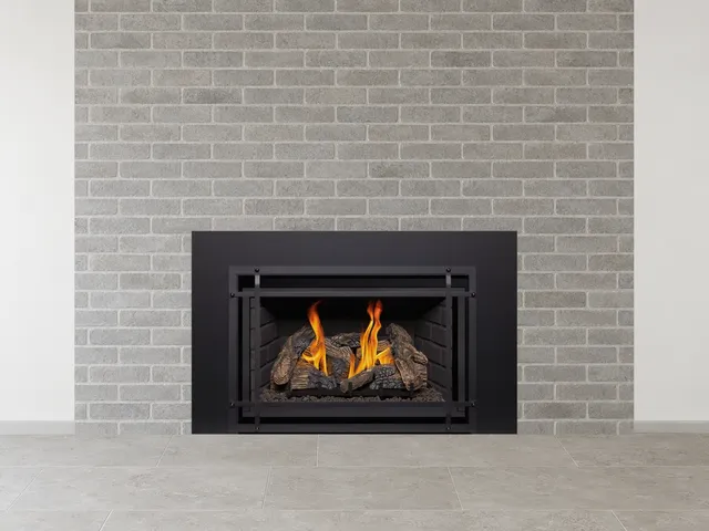 Kozy Heat Chaska 25 gas insert