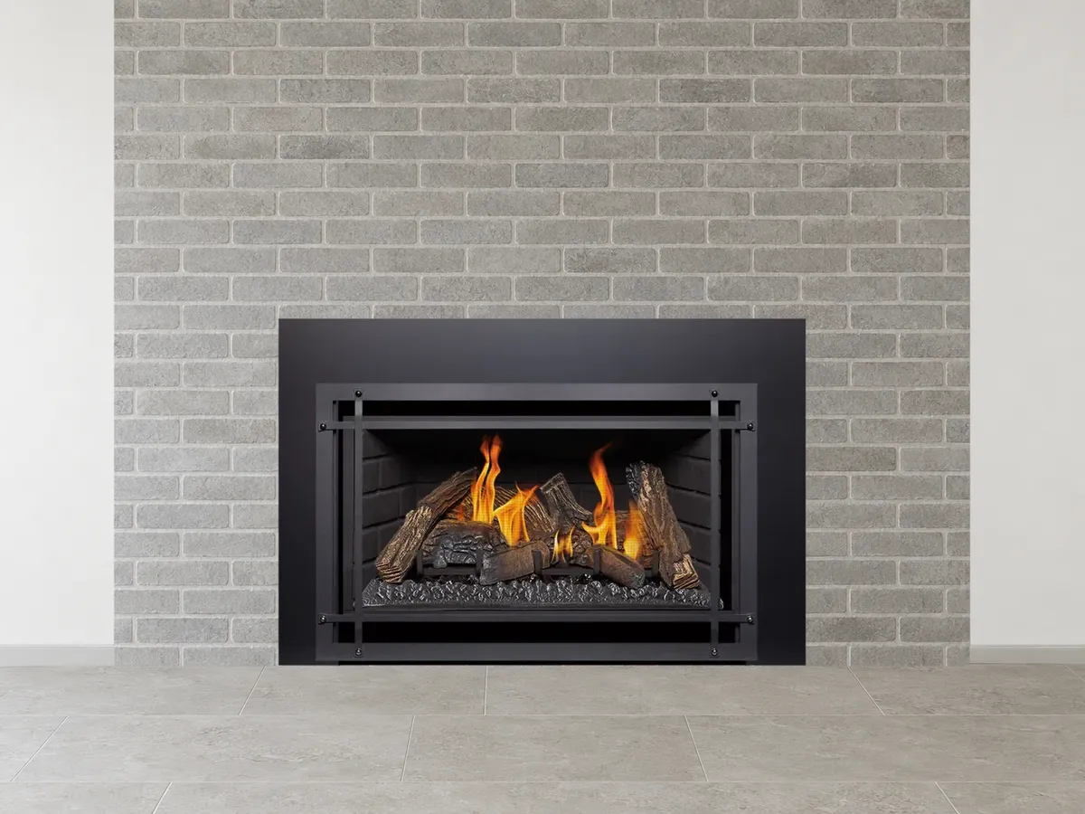 Kozy Heat Chaska 29 gas insert