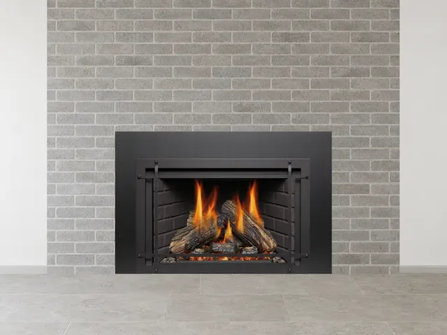 Kozy Heat Nordik 29 gas insert